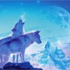 Wolves :33333333333333